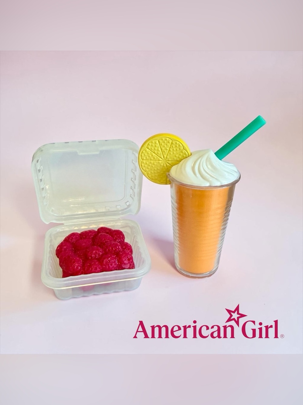 American Girl Beach Cooler Set Retired Replacement Parts 2017 Raspberries/Drink